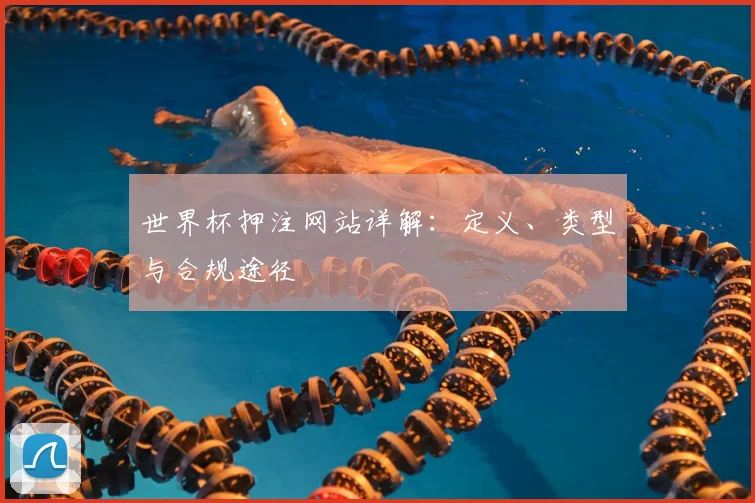 世界杯押注网站详解：定义、类型与合规途径