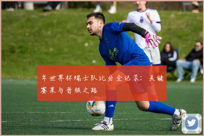 年世界杯瑞士队比分全记录：关键赛果与晋级之路