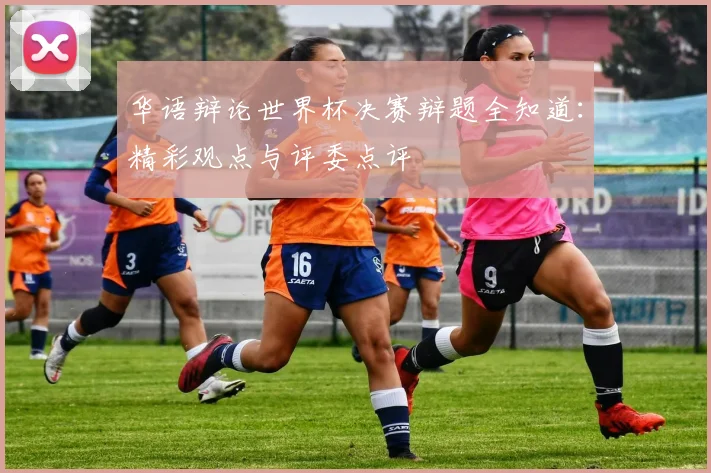 华语辩论世界杯决赛辩题全知道：精彩观点与评委点评