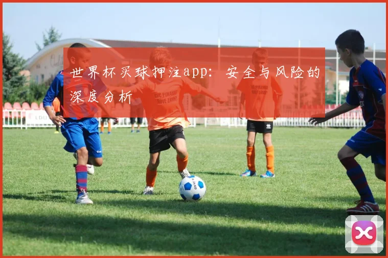世界杯买球押注app:安全与风险的深度分析