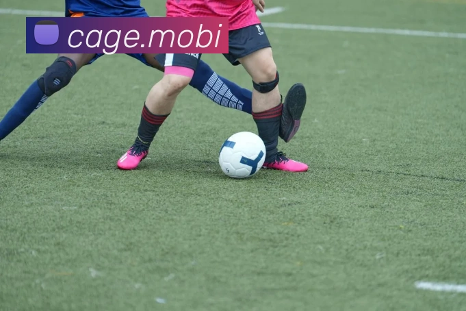 开云官方登陆入口平台生态图