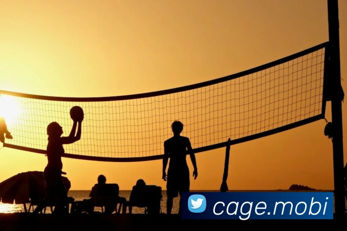 开云官方登陆入口全站App